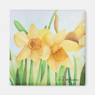 Imã Ímã dos Daffodils
