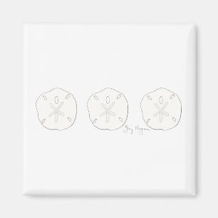 Imã Ímã dos dólares de areia