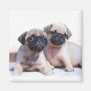 Imã Ímã dos filhotes de cachorro do Pug