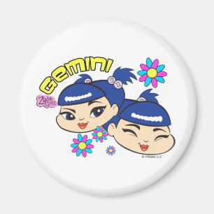 Imã Ímã dos Gêmeos