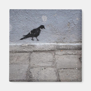 Imã Ímã dos grafites do pombo