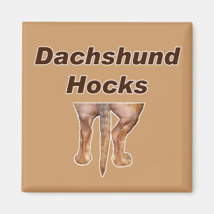 Imã Ímã dos Hocks do Dachshund