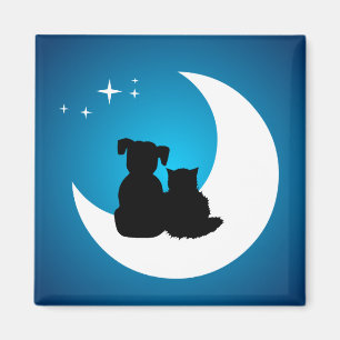 Imã Ímã dos melhores amigos