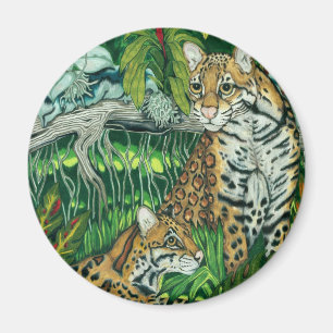 Imã Ímã dos "Ocelots"