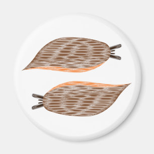 Imã Ímã dos Slugs