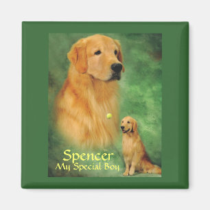 Imã Ímã dourado de Spencer