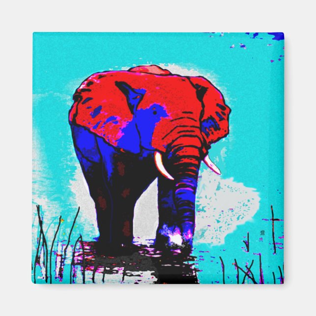 Imã ímã elefante (Frente)
