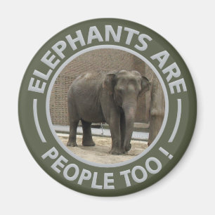 Imã ímã ELEPHANTS