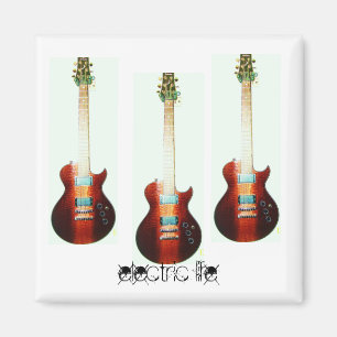 Imã ímã elétrico da vida