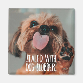 Imã ímã engraçado