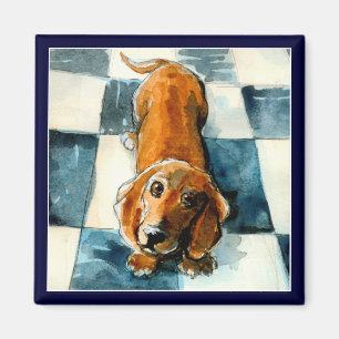 Imã Ímã engraçado do cão do Dachshund