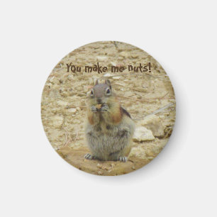 Imã Ímã engraçado do Chipmunk