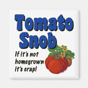 Imã Ímã engraçado do provérbio do snobe do tomate