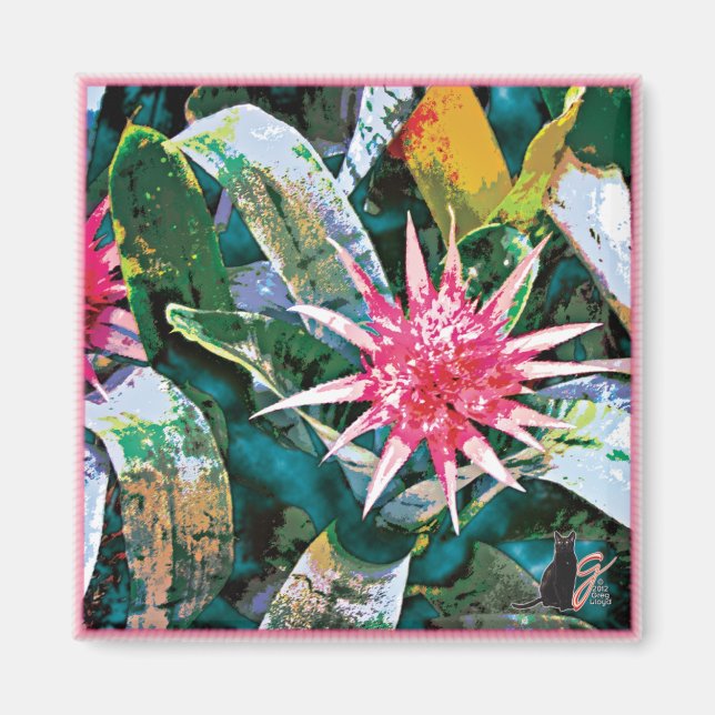 Imã Ímã Espinhoso Bromie (Frente)