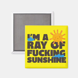 Imã Ímã Eu Sou Um Raio de Sol Absurdo Divertido