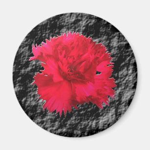 Imã Ímã Fantasia Floral Cravo Vermelho