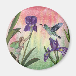 Imã Ímã feericamente da íris do colibri