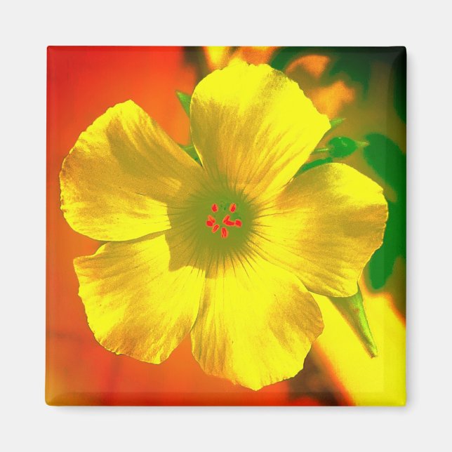 IMÃ ÍMÃ FLOR ESTILO E DESIGN DECORAÇÃO (Frente)