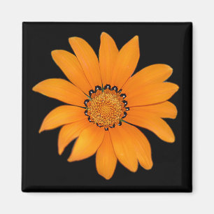 Imã Ímã floral alaranjado