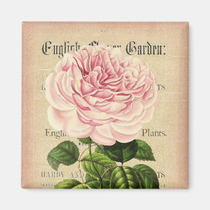 Imã Ímã floral feminino do vintage cor-de-rosa da fl