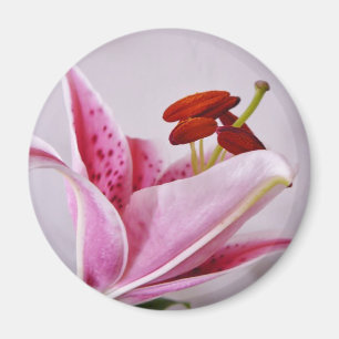 Imã Ímã floral irlandês