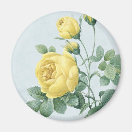 Imã Ímã floral vintage com bela rosa amarela