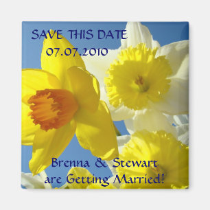 Imã Ímã Flores de Narciso na Primavera Salve esta Data