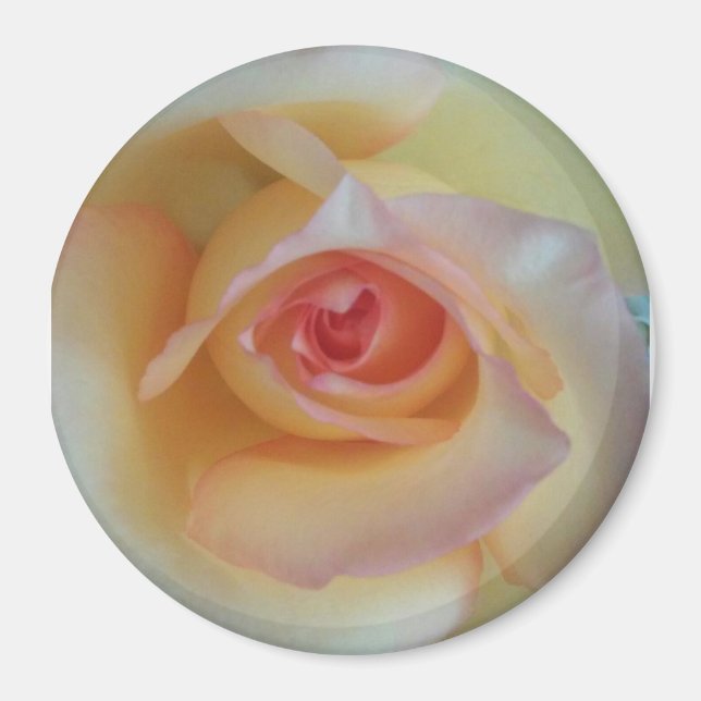 Imã ímã fotográfico redondo (Frente)