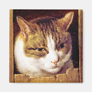Imã Ímã: "Gato que olha através de uma cerca "