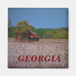 Imã ímã georgia