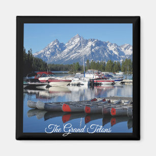 Imã Ímã grande do parque nacional de Teton