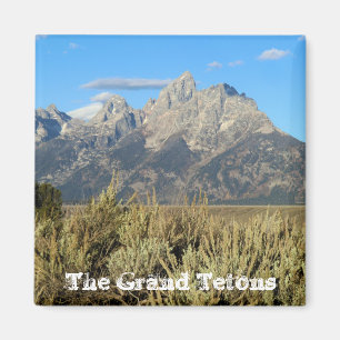 Imã Ímã grande do parque nacional de Teton