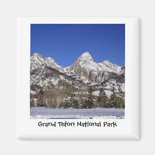 Imã Ímã grande do parque nacional de Teton