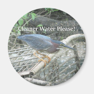 Imã ímã Green Heron Ecology