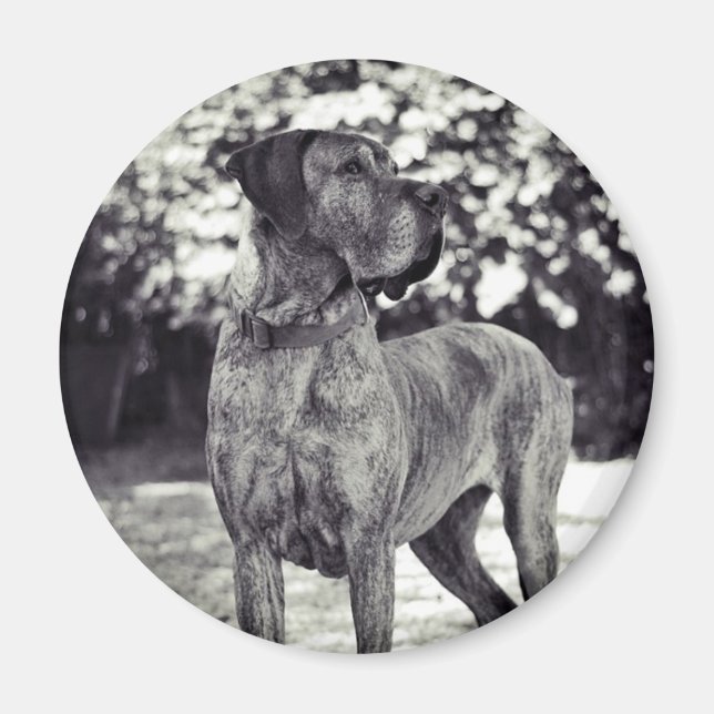 Imã Ímã Helia (Frente)