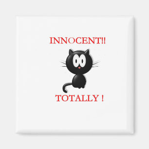 Imã Ímã inocente do gatinho
