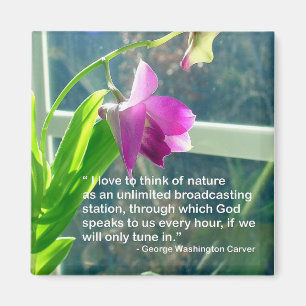 Imã Ímã inspirado das citações