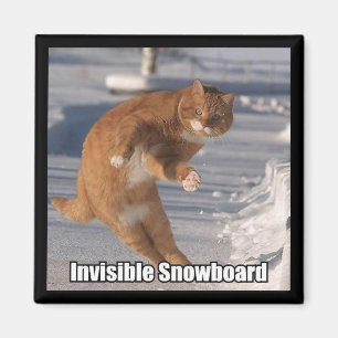 Imã ímã invisível do snowboard