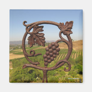 Imã ímã - jardim da região vinícola