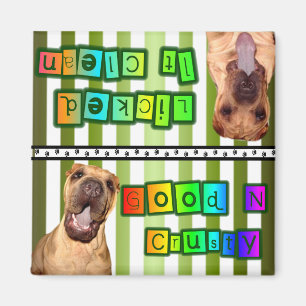 Imã Ímã limpo ou sujo dos pratos