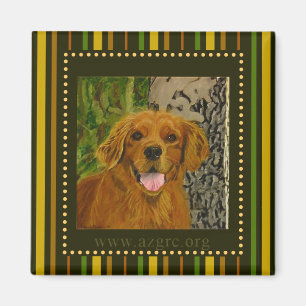 Imã Ímã listrado AZGRC do golden retriever