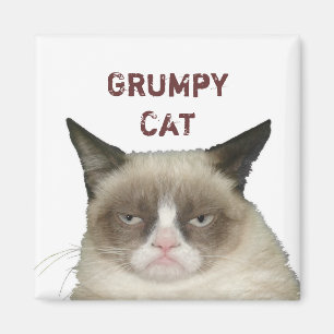 Imã Ímã mal-humorado do gato com texto