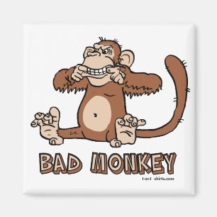 Imã Ímã mau do macaco
