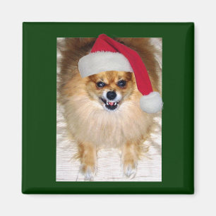 Imã Ímã mau do Natal do papai noel