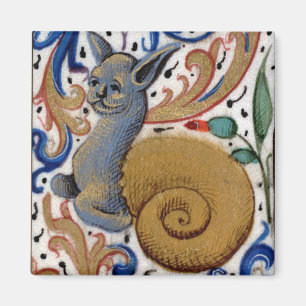 Imã Ímã medieval do caracol-gato