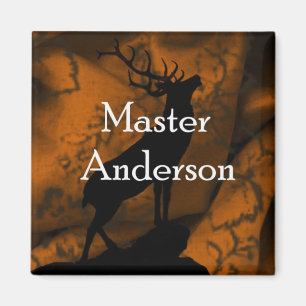 Imã Ímã mestre de Anderson