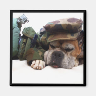 Imã Ímã militar do pugilista