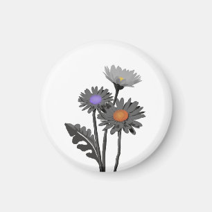 Imã ímã Monocromo Daisys