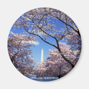 Imã Ímã/monumento de Washington