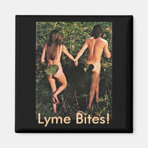 Imã Ímã - mordidas de Lyme!
